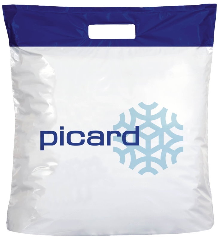 Sac online glaciere picard